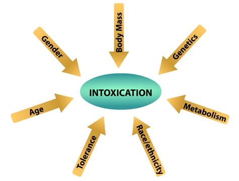 Biological Factors Influence Alcohol Intoxication The Alcohol Pharmacology Education Partnership