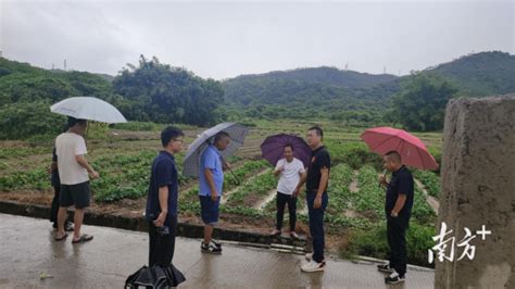 汕尾红草镇：强化多元解纷体系，共绘基层治理新图景 新华网