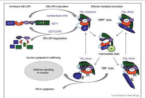 Figure 2 From How To Build A Pathogen Detector Structural Basis Of NB