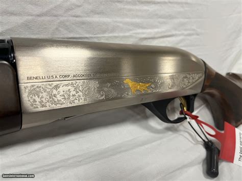 BENELLI MONTEFELTRO SILVER 12GA