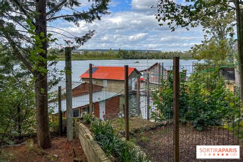 Les Chalets Flottants De L Tang De La Galiotte Dans Les Yvelines Un