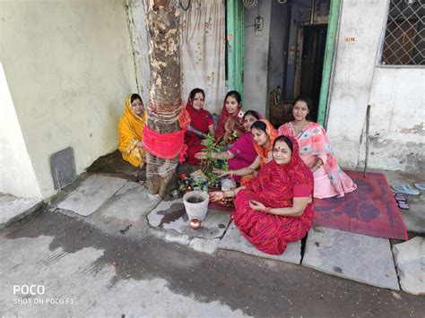 Worshiped Amla Tree And Sought Happiness And Prosperity आंवले के पेड़ की पूजन कर मांगी सुख