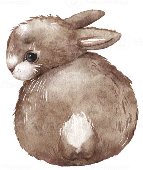 Cute Brown Rabbit Watercolor Drawing 8507865 Png