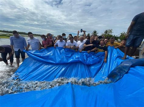 Cear Realiza Entrega De Mil Alevinos Do Projeto De Peixamento Dos