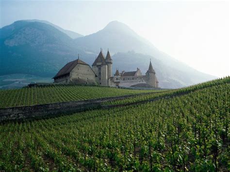 Swiss Farm - Photorator