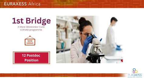 12 Postdoctoral Fellowships Available In Various Domains Within The