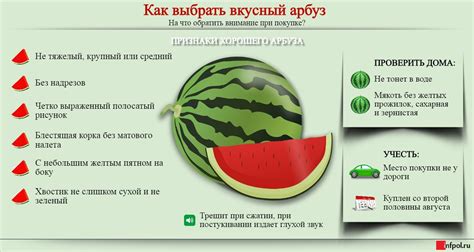 Вам: Как выбрать спелый и сладкий арбуз
