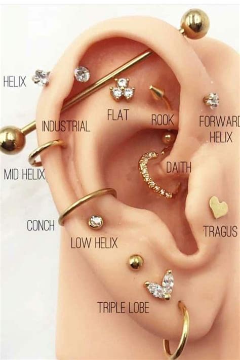 Alles was ihr über Ohrpiercings wissen solltet Ear piercings Ear