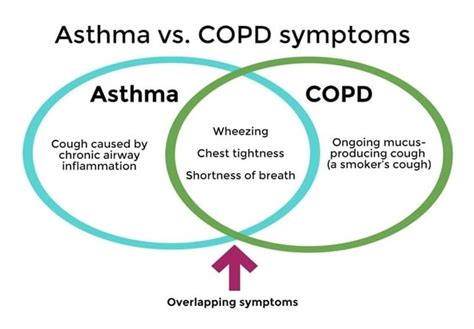 What is the difference between COPD and asthma? | Health24