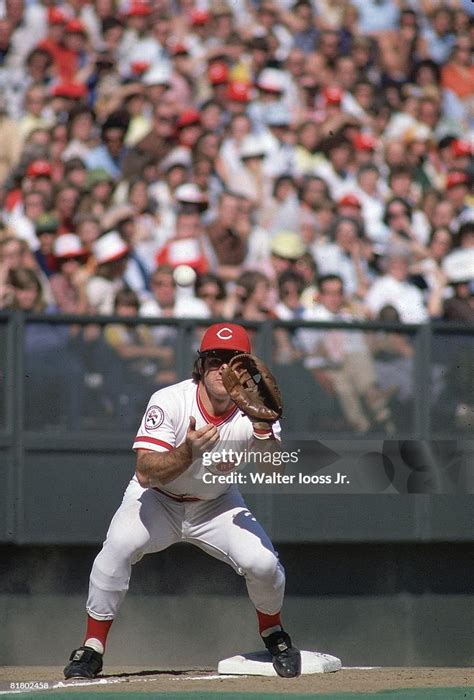 Cincinnati Reds Pete Rose In Action Fielding Vs Atlanta Braves