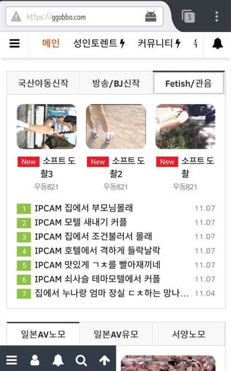 제 2의 소라넷 꼬뽀넷 인스티즈 Instiz 이슈 카테고리