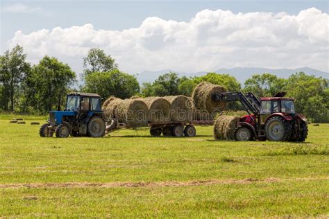 Tractor Collecting Straw Bales Stock Image Image Of Vehicle Grass