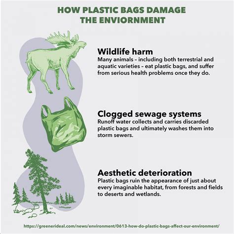 INFOGRAPHIC: How plastic bags damage the environment – TommieMedia