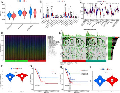 Figure From Crosstalk Among Disulfidptosis Related Lncrnas In Lung