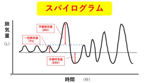 看護師国家試験勉強肺機能検査 フローボリューム曲線 バッチリ克服 ねこ太と共に歩む看護未来