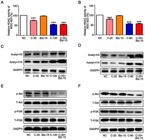 Low Dose Of Bortezomib Enhances The Inhibition Of HDAC Activity And