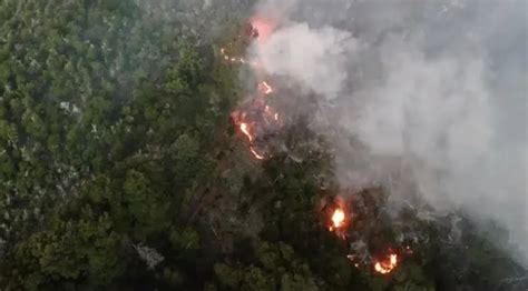 Incendio En Los Alerces La Lluvia Trajo Alivio Pero Rige Una Alerta