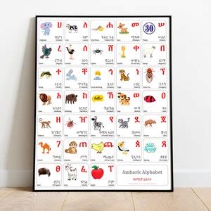 Amharic Alphabet Poster Chart With Words And English Translations