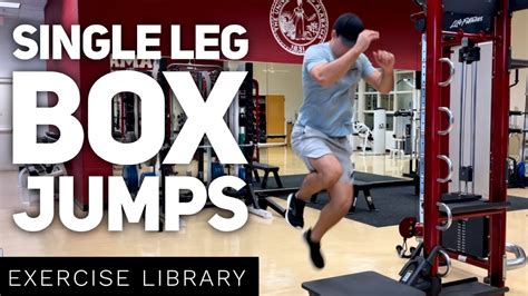 Single Leg Box Jumps Unilateral Plyometric Exercise Youtube