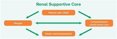 Advanced Chronic Kidney Disease Management In Primary Care And Renal