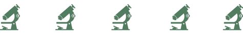 How To Store A Microscope 8 Tips And Tricks Optics Mag