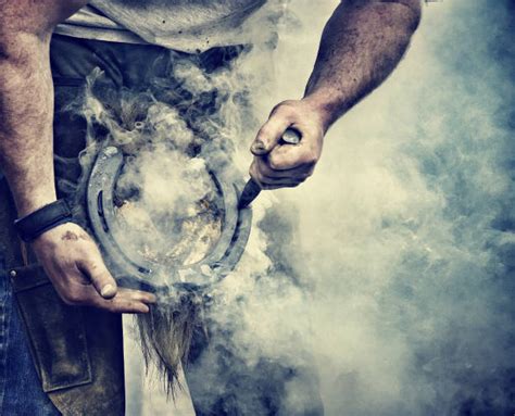 Horse Farrier Stock Photos Pictures And Royalty Free Images Istock