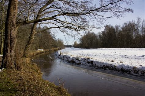 Winter Nature Snow Free Photo On Pixabay Pixabay