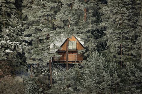 A Mysterious Cabin Hidden In The Woods