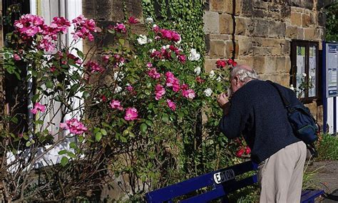 Take Your Nose Out For A Smell Walk And Come To Your Senses Aerate