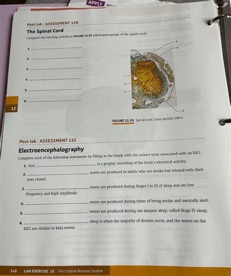 Solved Mart Post Lab Assessments CHECK WHAT YOU LEARNED 7 Chegg