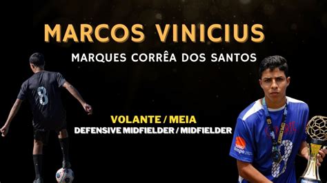 Marcos Vinicius Volante Meia Defensive Midfielder Midfielder