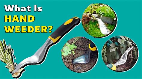 weeder hand tool  manuela frasher blog