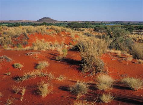 Het Mooiste Reisaanbod Voor Het Kgalagadi Transfrontier Park