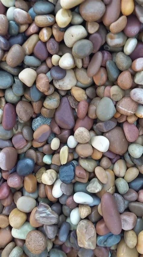 Mix Colors River Pebble Stone Thickness 40 Mm At Rs 6 Kg In