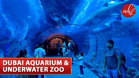 Dubai Mall Aquarium And Underwater Zoo The Worlds Largest Aquarium