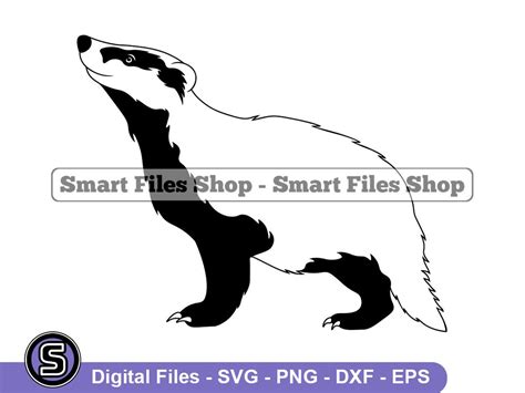 Badger 3 Svg Badger Svg Forest Animals Svg Badger Dxf Badger Png