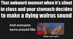 That Awkward Moment When It S Silent Class And Your Stomach Decides To