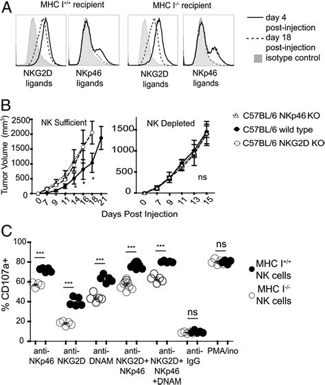 Modulation Of Nkg2d Nkp46 And Ly49ci Facilitates Natural Killer Cell