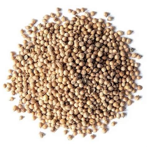 Brown Dry Coriander Seed For Cooking Packaging Size 1 Kg At Rs 100