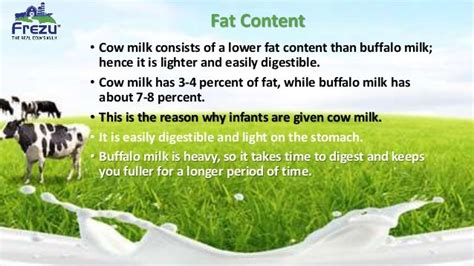 Pure Cow Milk Vs Buffalo Milk