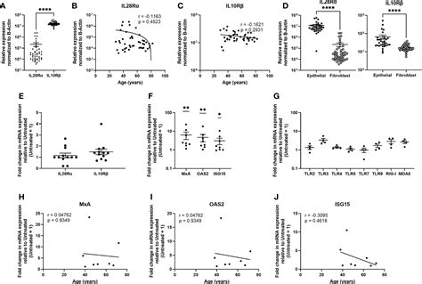 Frontiers Sex Hormones And Aging Modulate Interferon Lambda 1