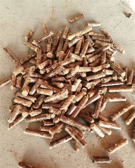 Eucalyptus 6mm Brown Wood Pellets For Boiler At Rs 15000 Tonne In