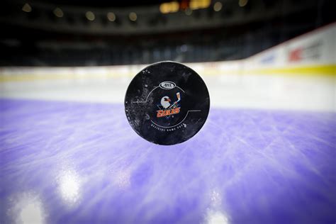 Complete Guide to Purchasing Tickets for San Diego Gulls Games 15