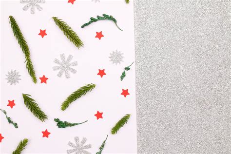 Green Pine Leaves On White Background · Free Stock Photo