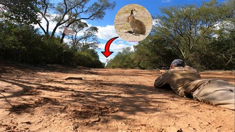 Caceria De Liebres Con Rifle Y Escopeta En Territorio De Leones Chaco