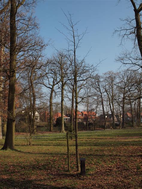 Herinneringsbomen In Park Vreugd En Rust Monumentenroute Mooi Voorburg