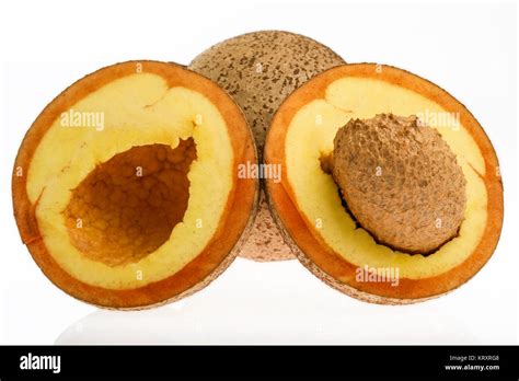 Tropical Fruit Mammee Apple Mammea Americana Stock Photo Alamy