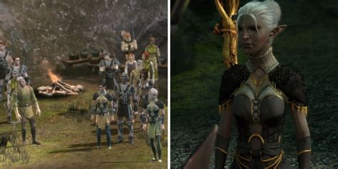 Dragon Age: Dalish Elves Vs. City Elves