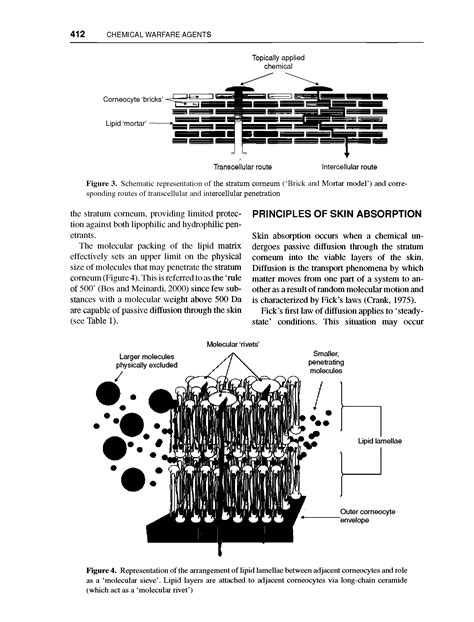 Brick And Mortar Model Big Chemical Encyclopedia