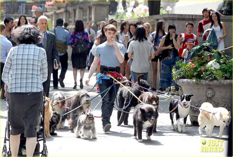 Daniel Radcliffe Handles Multiple Dogs On Nyc Trainwreck Set Photo